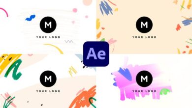 Videohive - Hand Drawn Brush Logo Pack 35554878