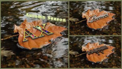 Videohive - Autumn Yellow Leaf And Logo - 40538938