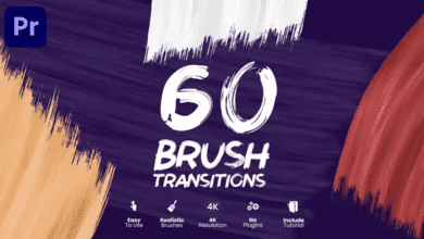 Videohive - Brush Transitions - 42050639